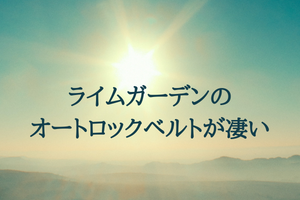 ライムガーデンのオートロックベルトが凄い