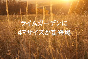 ライムガーデンに４Eサイズが新登場