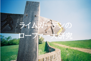 ライムガーデンのローファー大研究